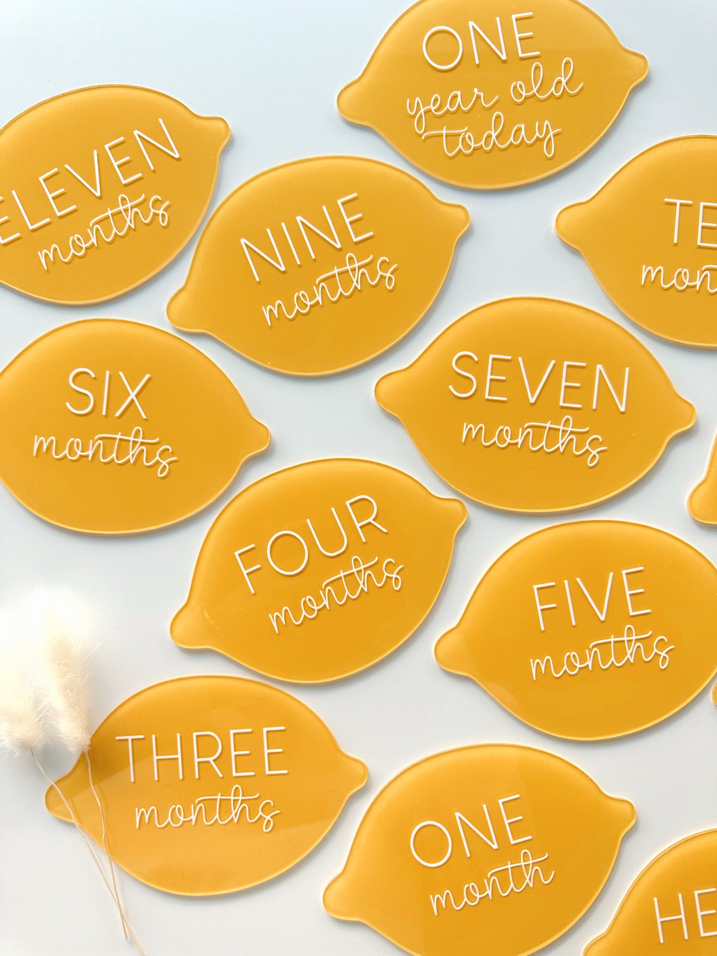 Lemon milestone disc set