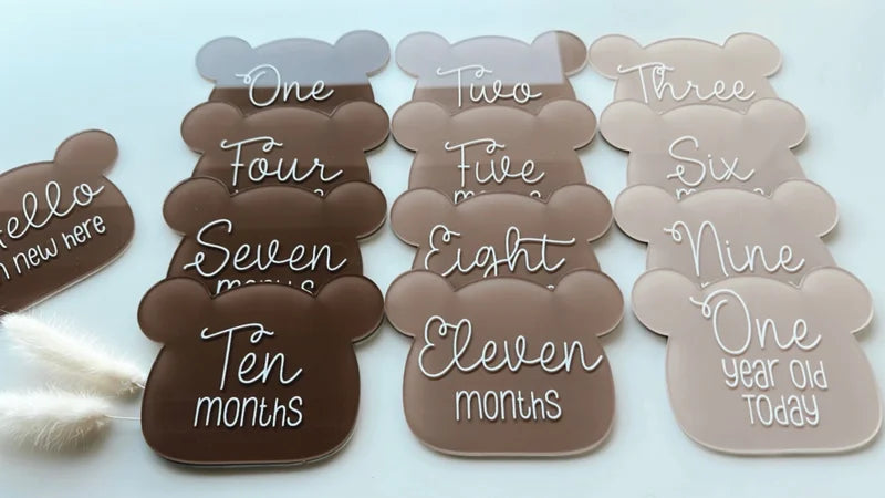 Bear milestone disc set