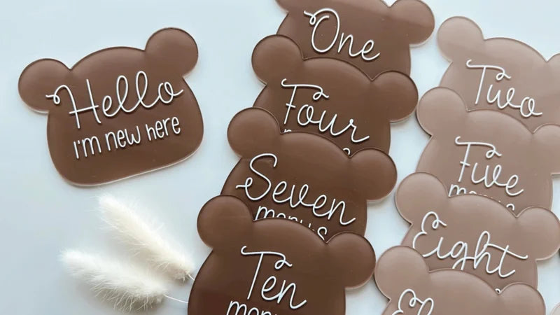 Bear milestone disc set