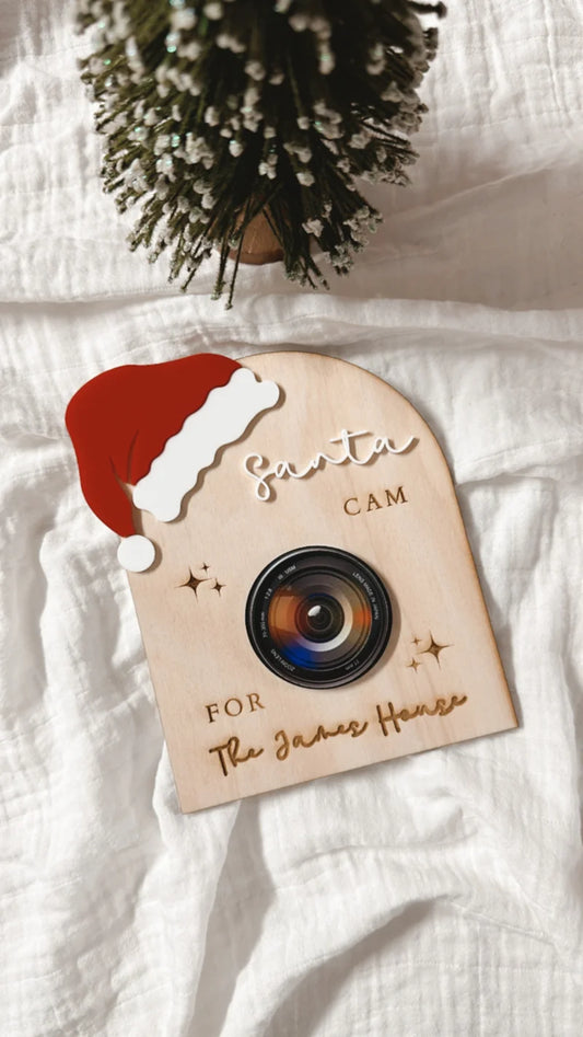 Santa cam